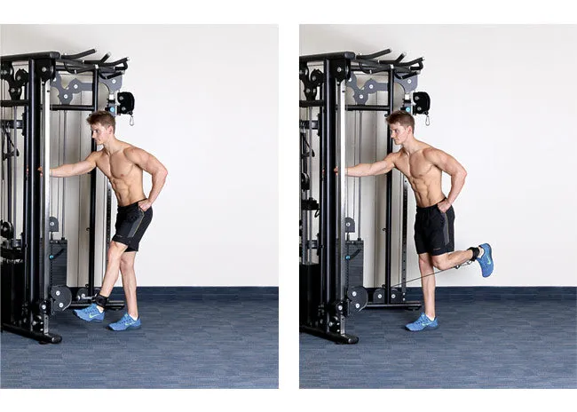 Element Fitness Functional Trainer
